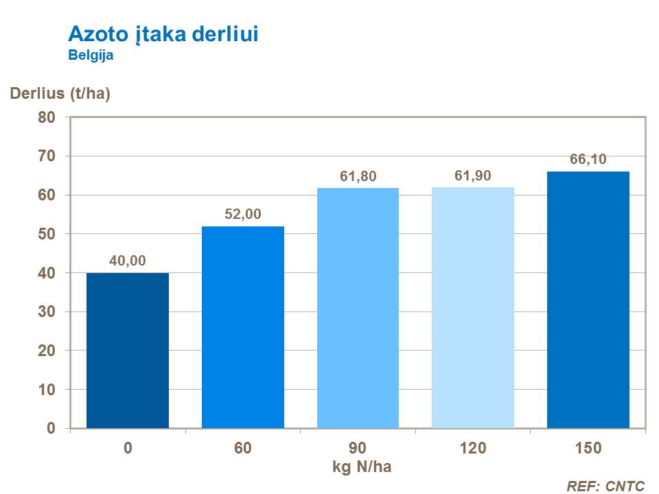 Tręšiant azotu ankstyvuose augalo vegetacijos tarpsniuose, susiformuoja vientisa augalo antžeminė dalis - lapijos kupolas. Vėlesniuose augimo tarpsniuose azotas padeda ilgiau išlaikyti žalius bulvienojus ir didina derlingumą.
