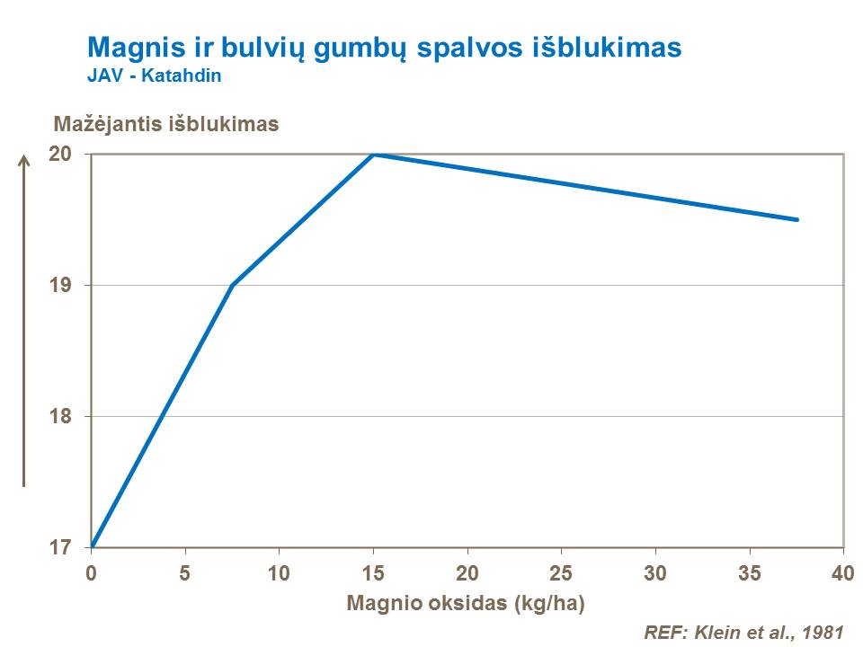 Bandymų, atliktų JAV, rezultatai rodo magnio įtaką fermentiniam gumbo spalvos išblukimui.
