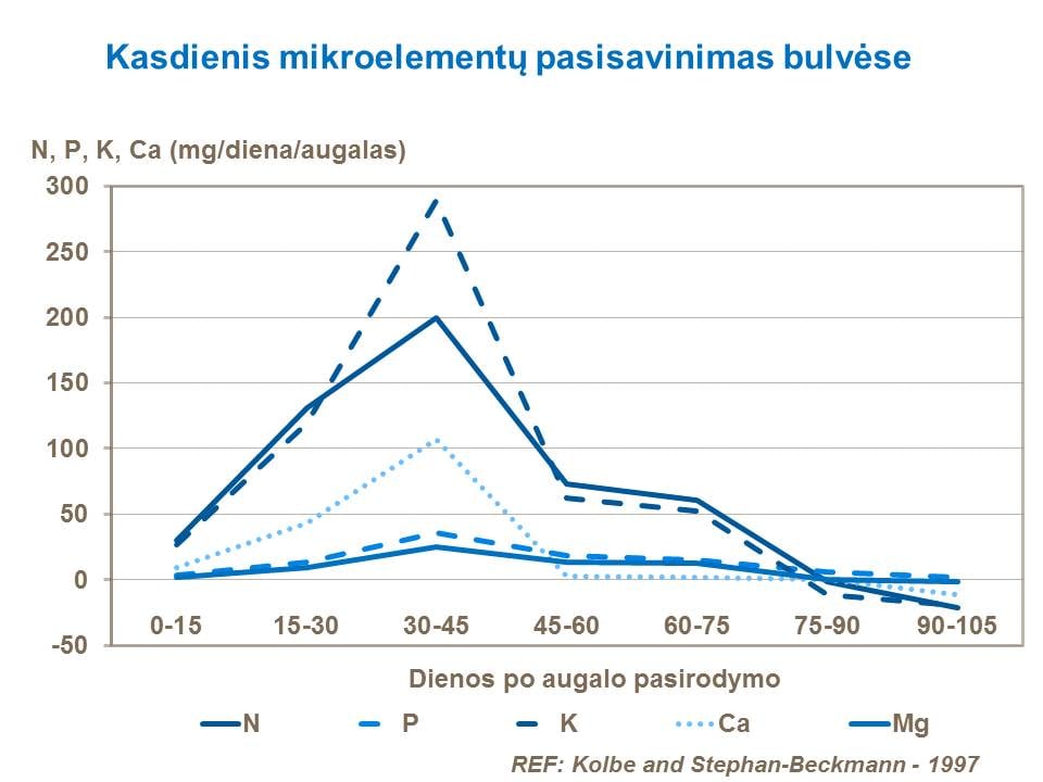 Maisto medžiagų įsisavinimas įvairiuose vegetacijos tarpsniuose būna skirtingas. Kalis yra vienas iš makroelementų, kurio bulvių pasėliai pasisavina daugiausiai.