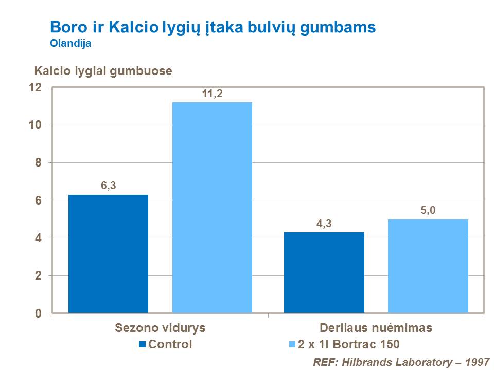 Šio bandymo rezultatų duomenys rodo boro įtaką kalcio kiekiui gumbuose, tuo pačiu, ir gumbo vidinio dėmėtumo (GVD) atsiradimo riziką.