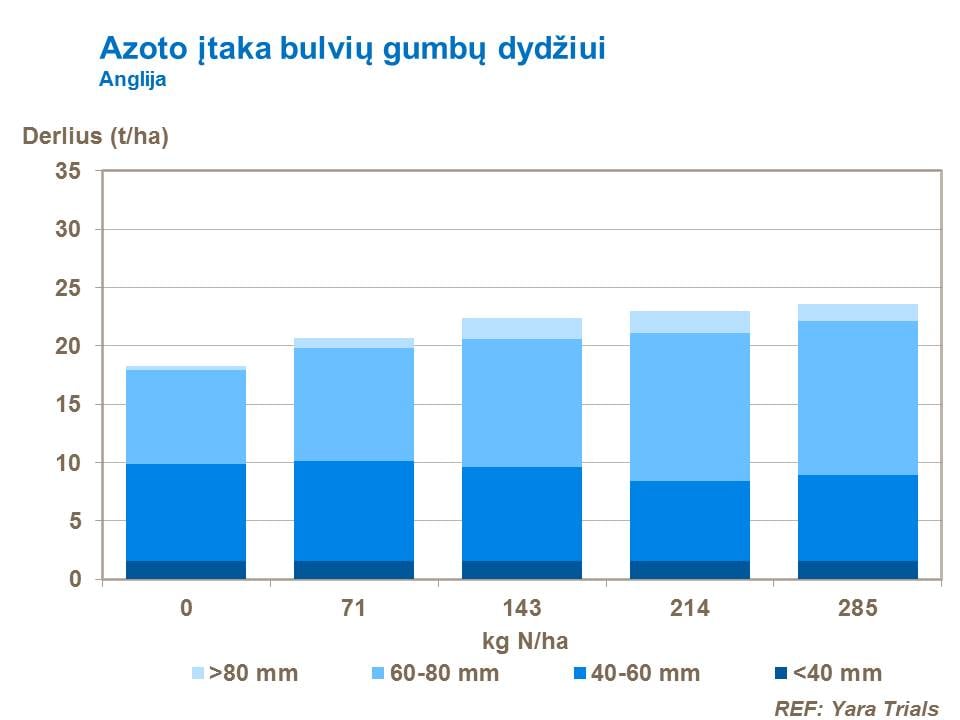 Effect on Tuber Size